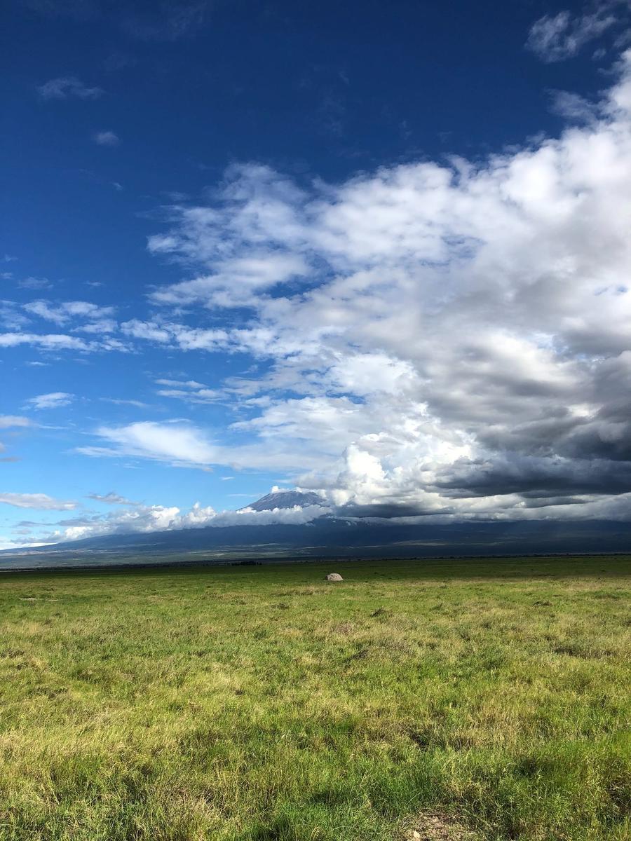 Photo 14 of Kenya, taken by Cameron Mofid