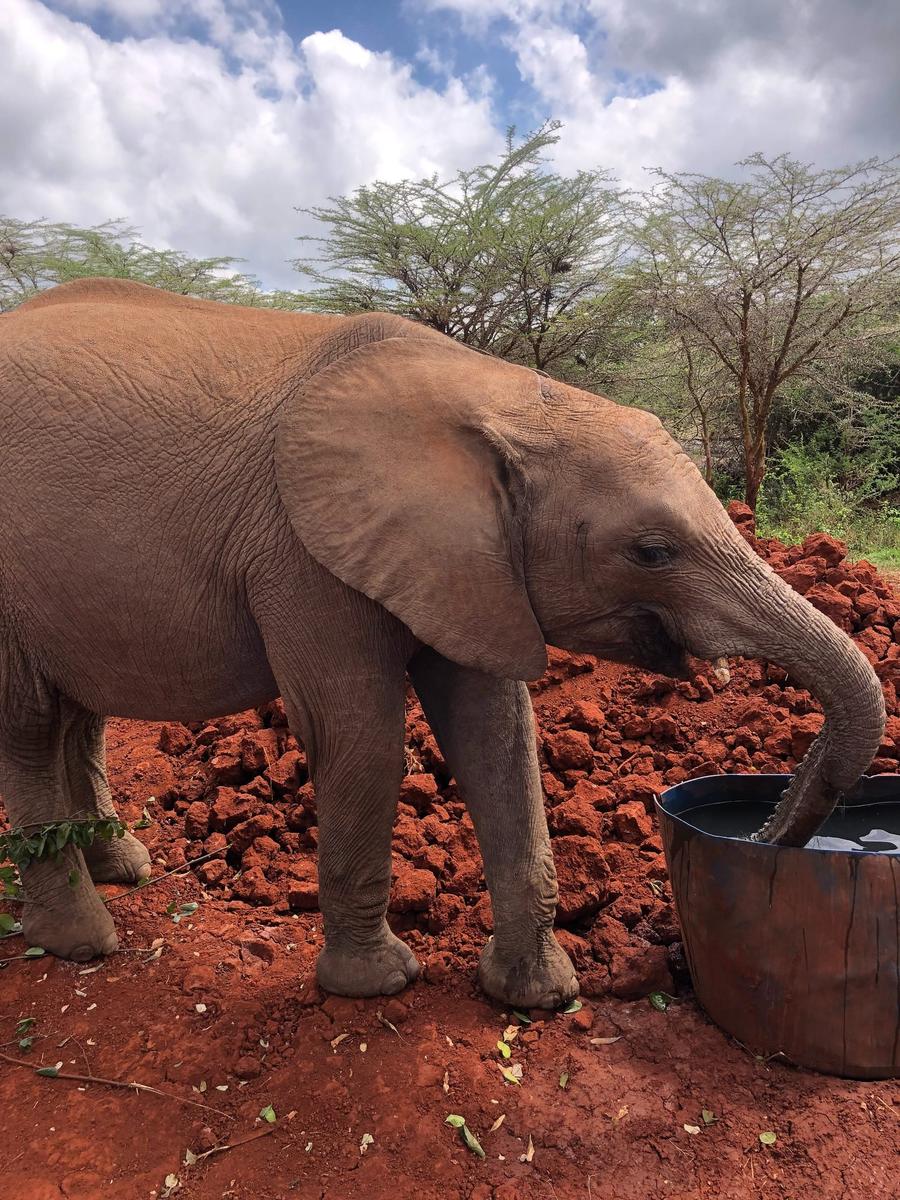 Photo 3 of Kenya, taken by Cameron Mofid