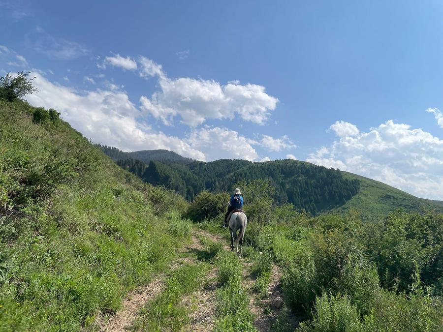 Photo 12 of Kyrgyzstan, taken by Cameron Mofid