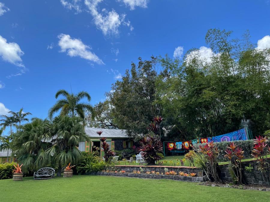 Photo 14 of Saint Kitts and Nevis, taken by Cameron Mofid