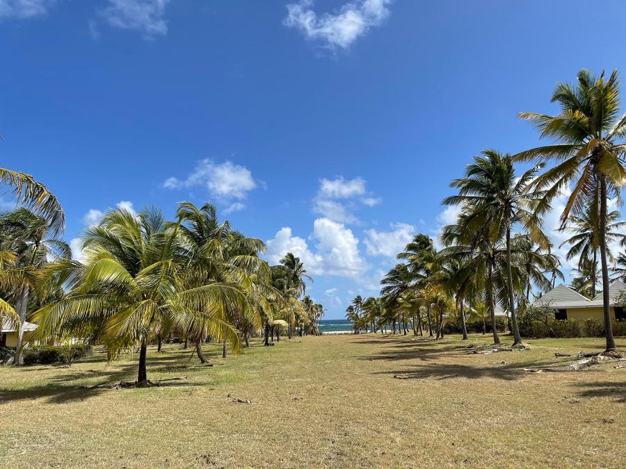 Photo 7 of Saint Kitts and Nevis, taken by Cameron Mofid