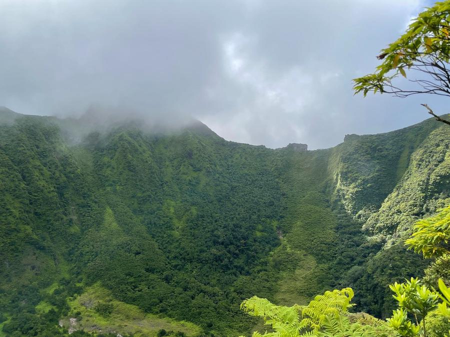 Photo 20 of Saint Kitts and Nevis, taken by Cameron Mofid