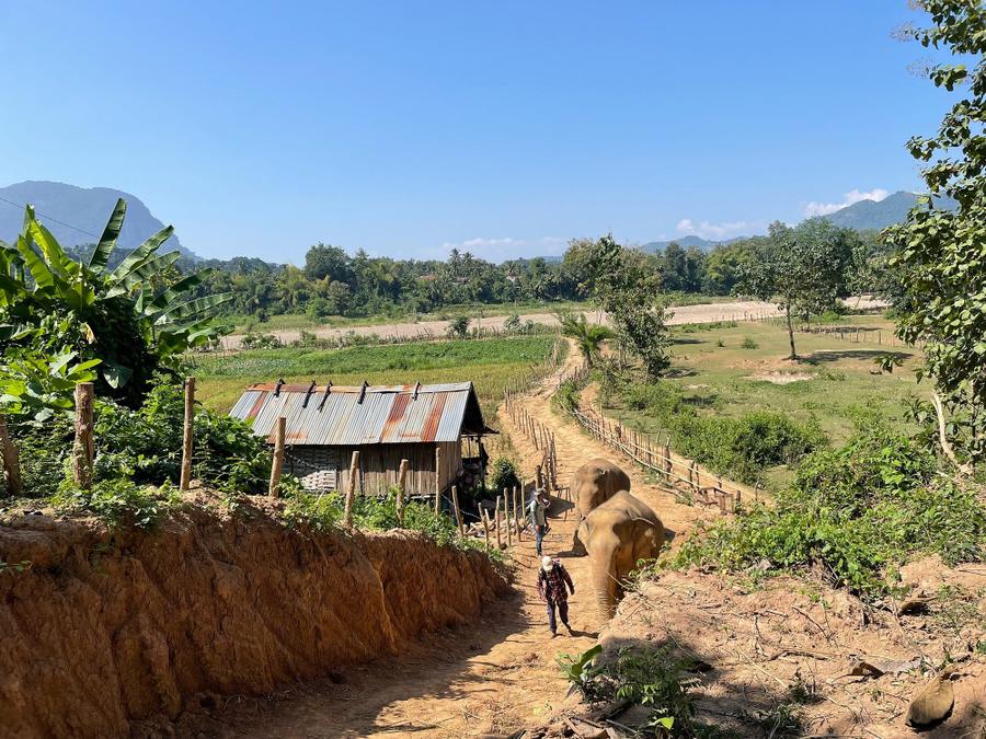 Photo 19 of Laos, taken by Cameron Mofid