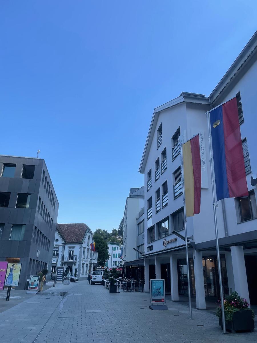 Photo 11 of Liechtenstein, taken by Cameron Mofid