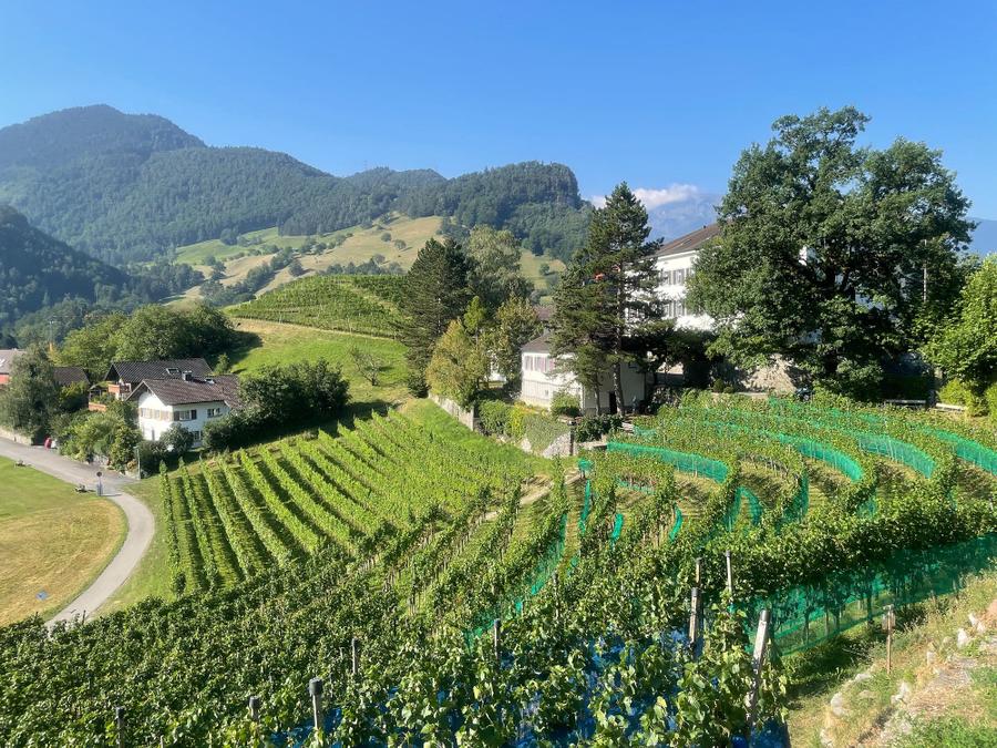 Photo 5 of Liechtenstein, taken by Cameron Mofid