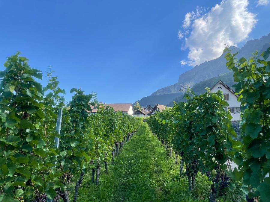 Photo 17 of Liechtenstein, taken by Cameron Mofid