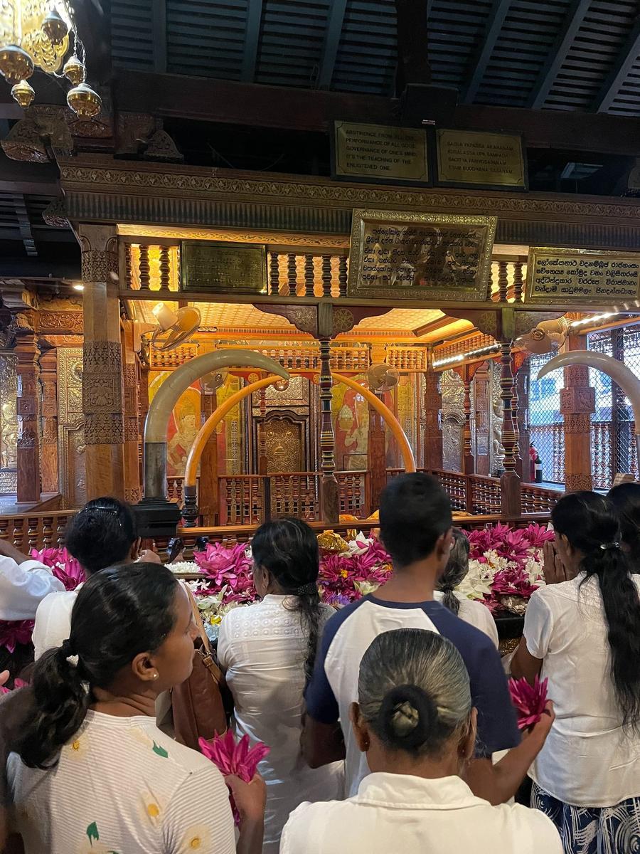 Photo 13 of Sri Lanka, taken by Cameron Mofid