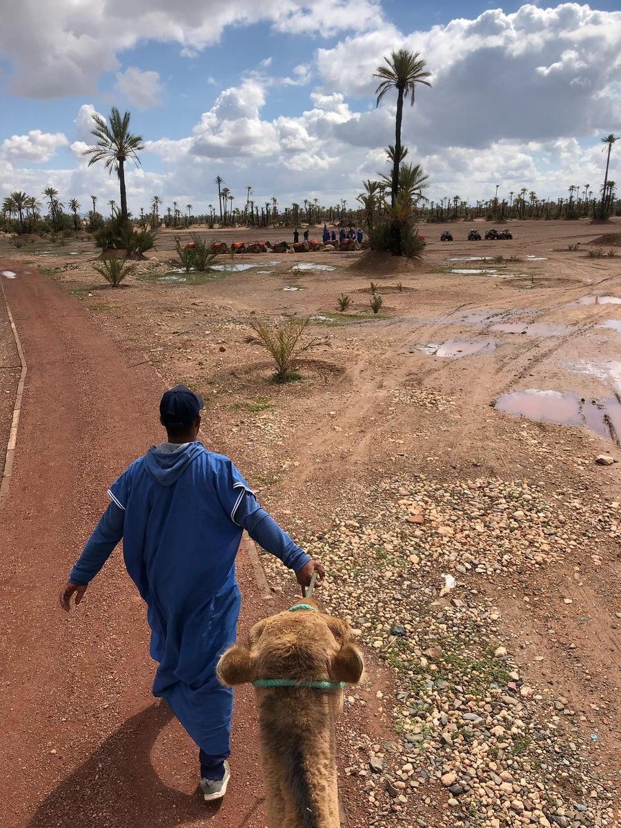 Photo 6 of Morocco, taken by Cameron Mofid