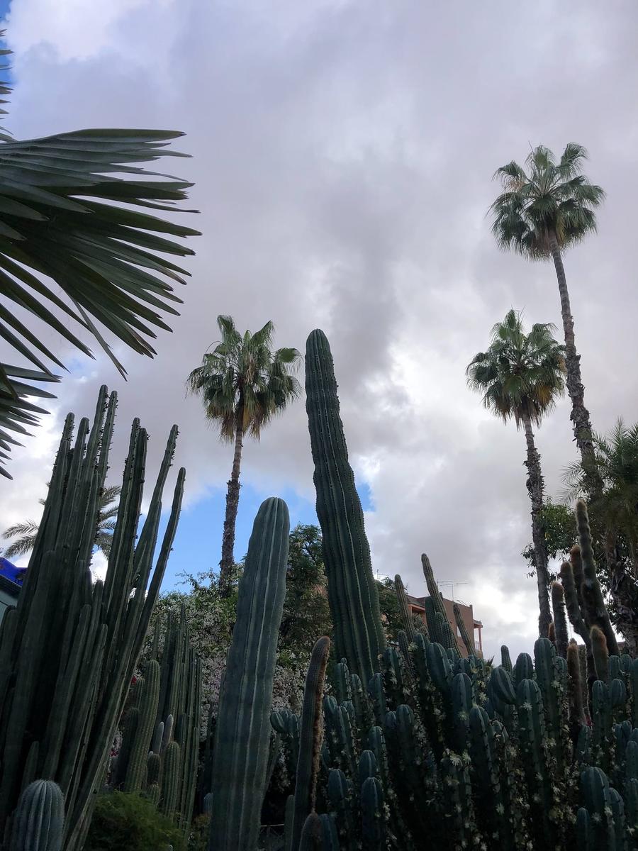 Photo 4 of Morocco, taken by Cameron Mofid