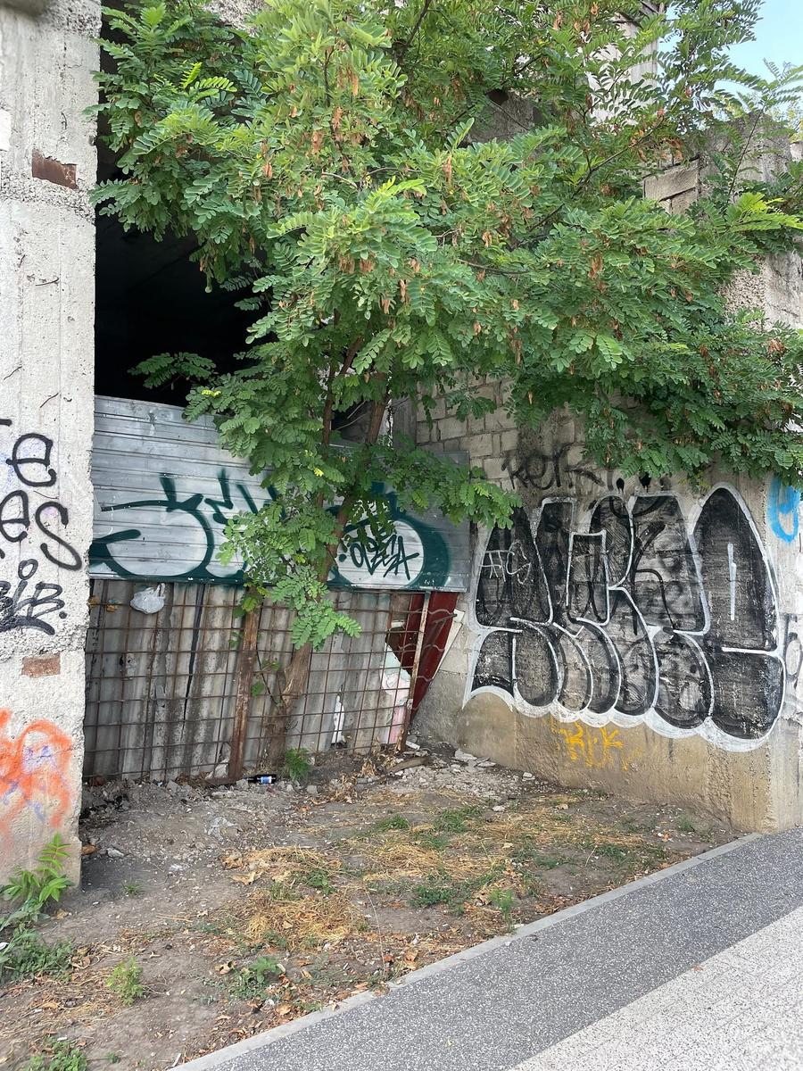 Photo 11 of Moldova, taken by Cameron Mofid