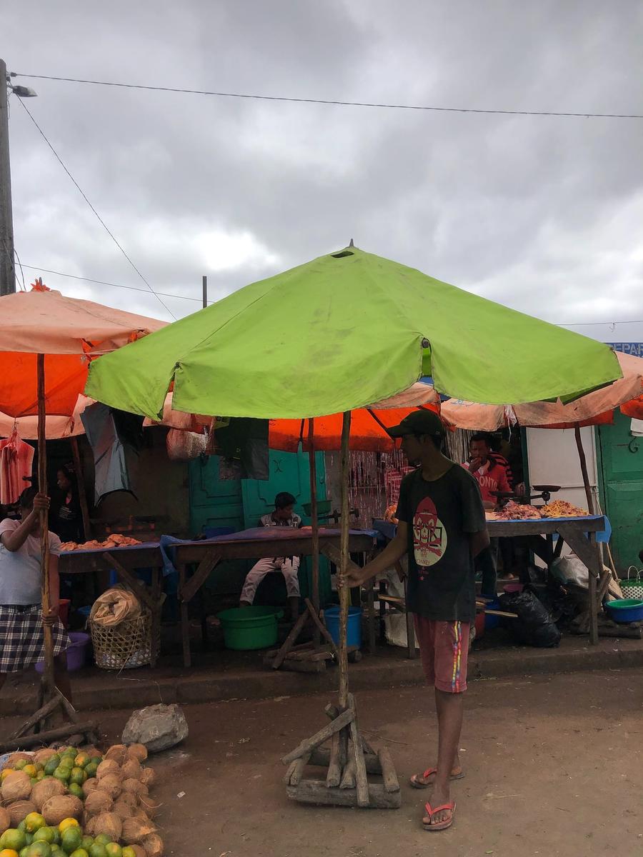 Photo 8 of Madagascar, taken by Cameron Mofid
