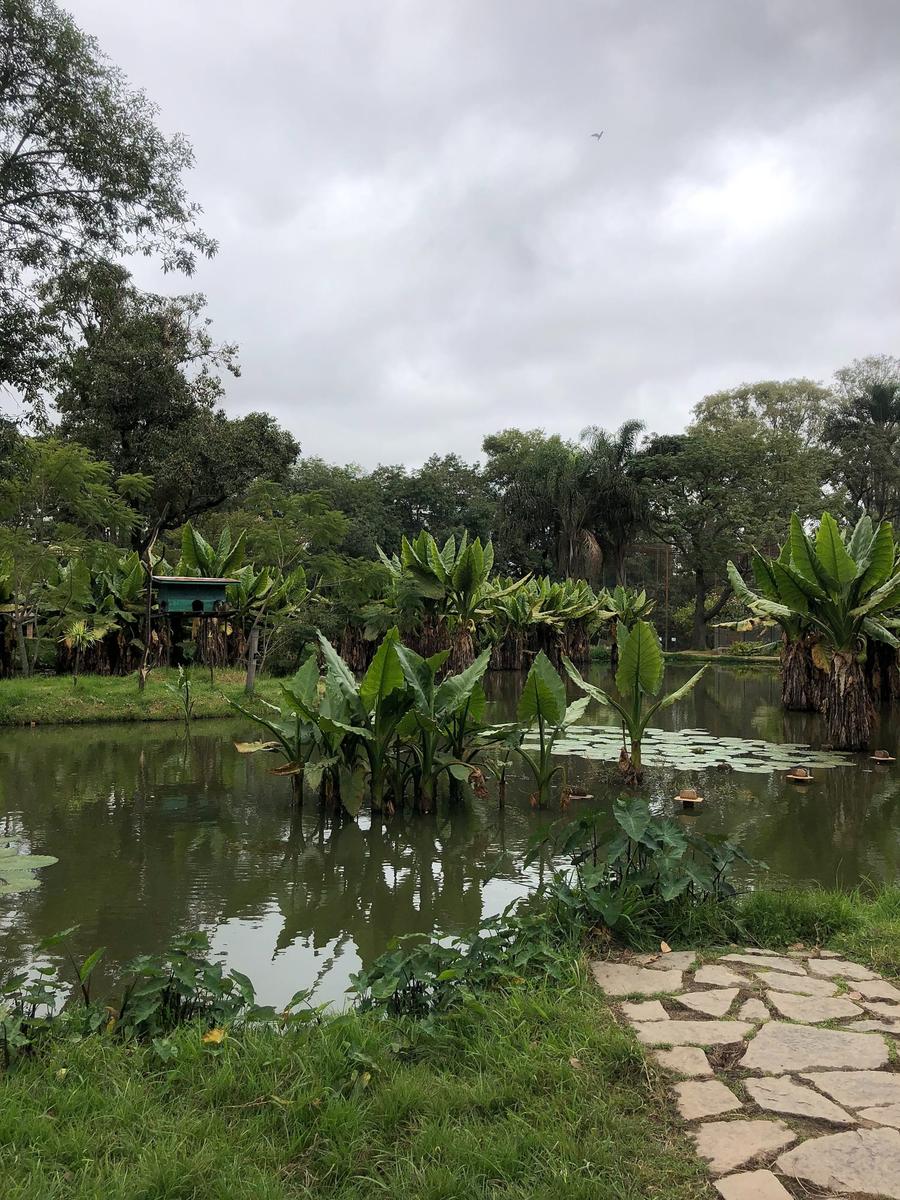 Photo 6 of Madagascar, taken by Cameron Mofid
