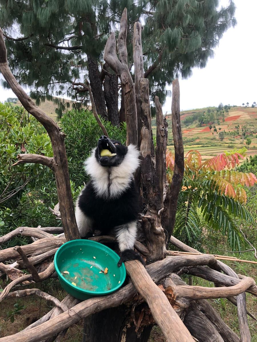 Photo 9 of Madagascar, taken by Cameron Mofid