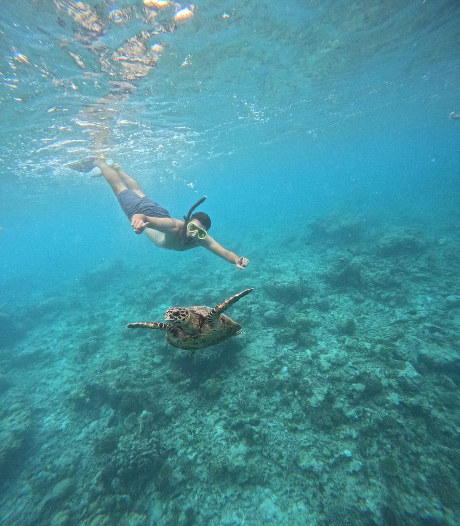 Photo 7 of Maldives, taken by Cameron Mofid
