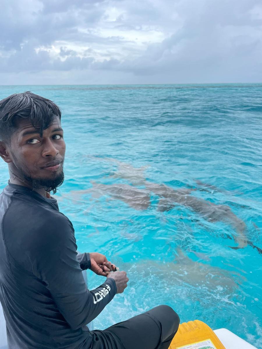 Photo 4 of Maldives, taken by Cameron Mofid