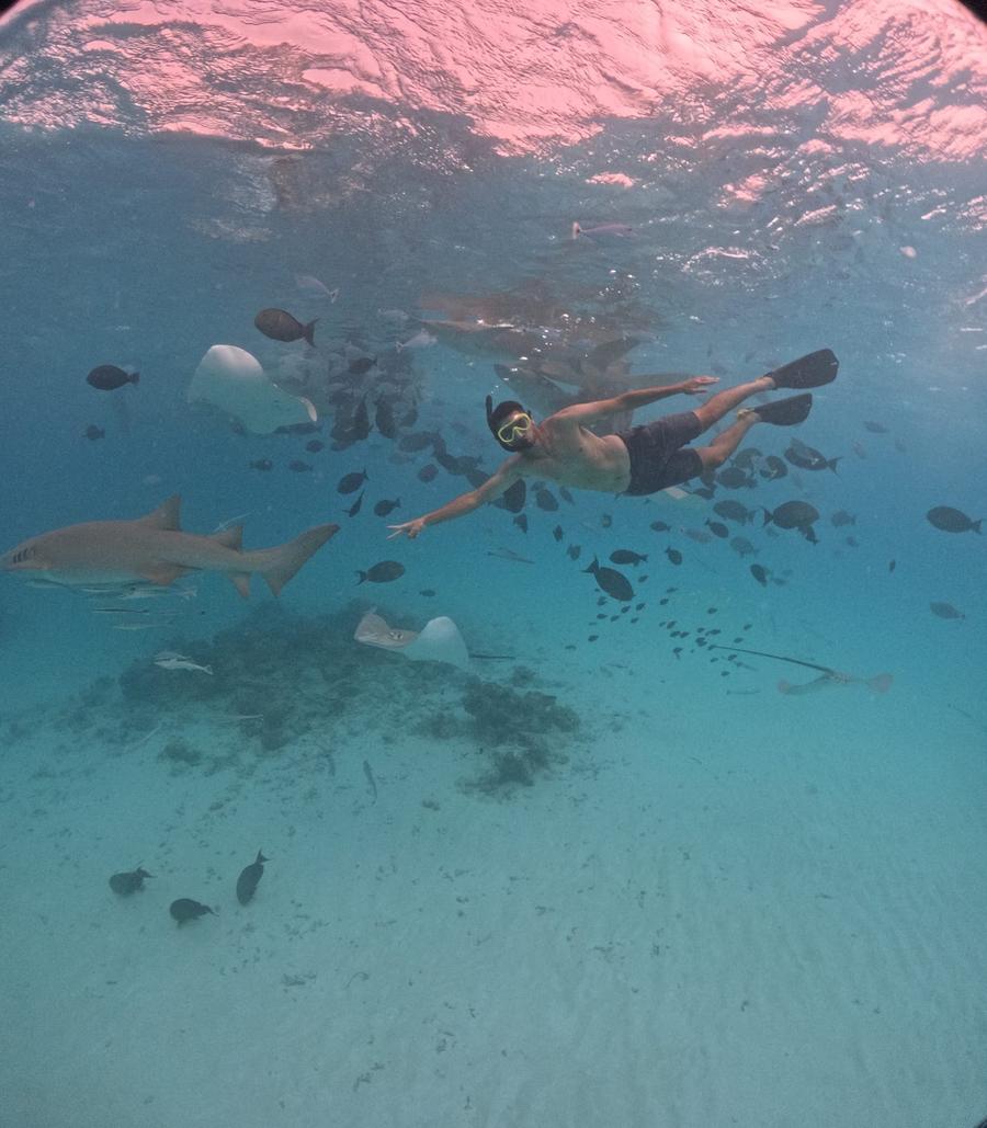 Photo 5 of Maldives, taken by Cameron Mofid