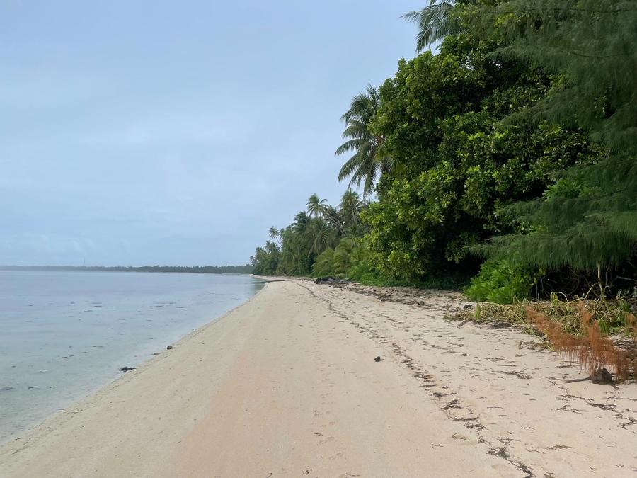 Photo 8 of Marshall Islands, taken by Cameron Mofid