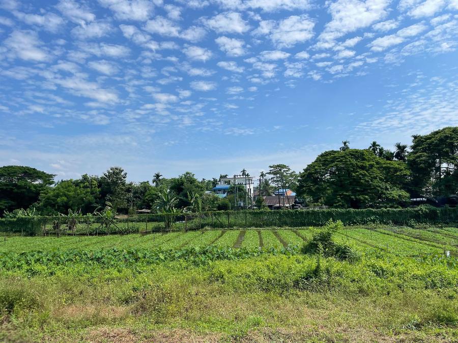Photo 13 of Myanmar, taken by Cameron Mofid
