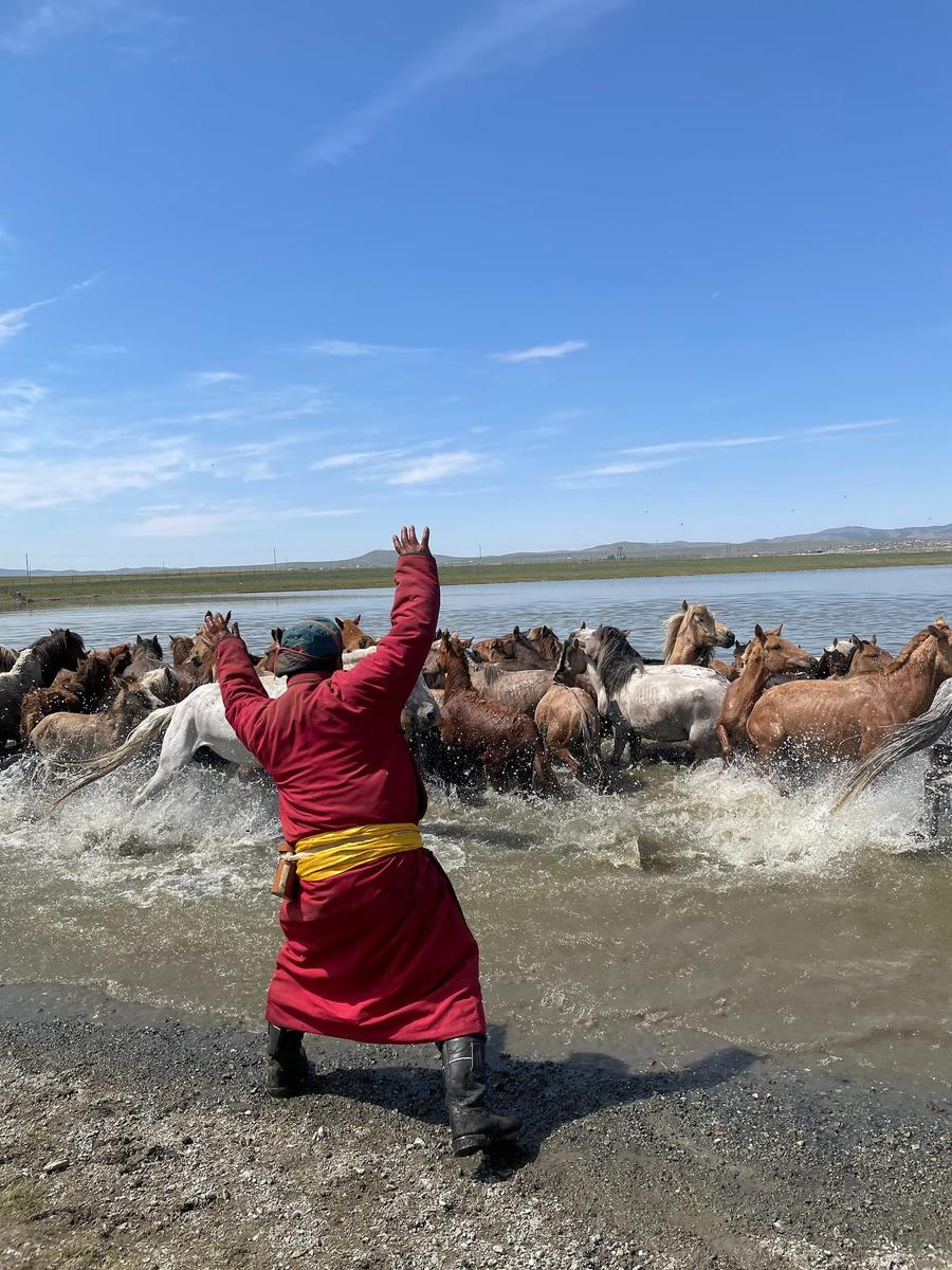 Photo 7 of Mongolia, taken by Cameron Mofid