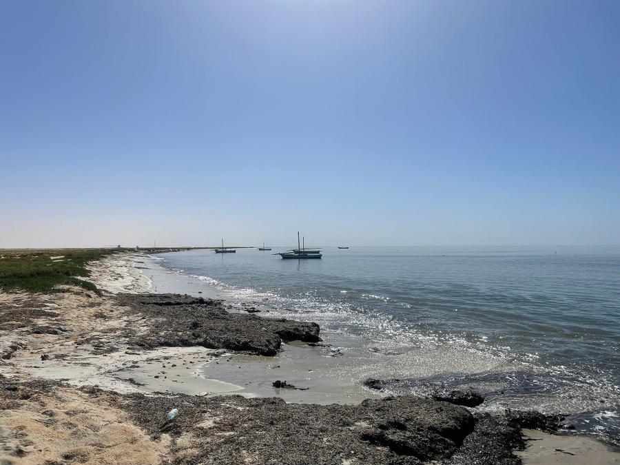 Photo 8 of Mauritania, taken by Cameron Mofid