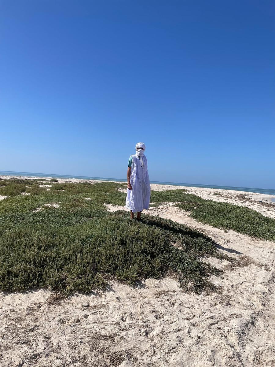 Photo 5 of Mauritania, taken by Cameron Mofid