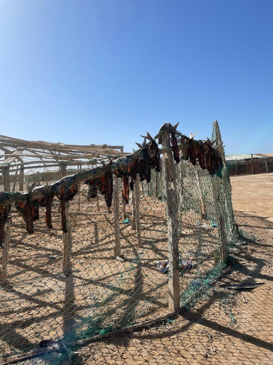 Photo 3 of Mauritania, taken by Cameron Mofid