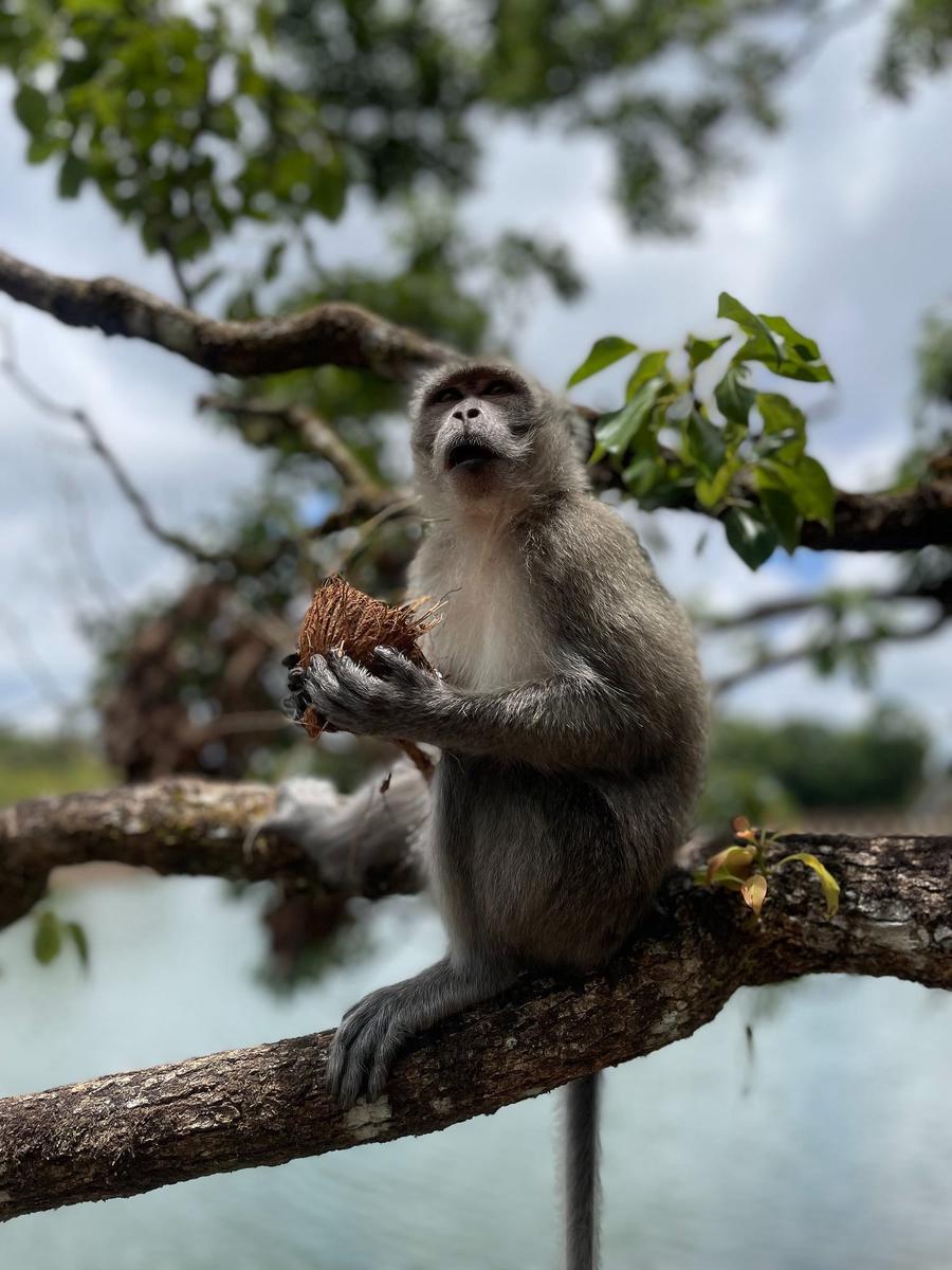 Photo 15 of Mauritius, taken by Cameron Mofid