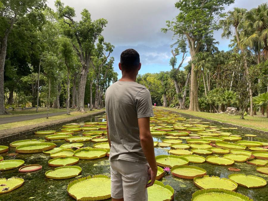 Photo 1 of Mauritius, taken by Cameron Mofid