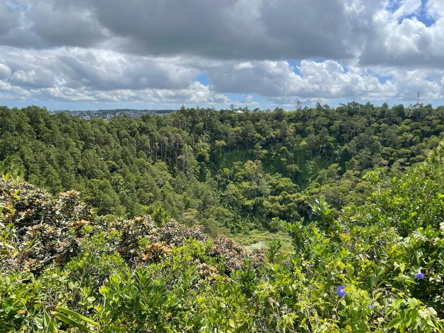 Photo 6 of Mauritius, taken by Cameron Mofid