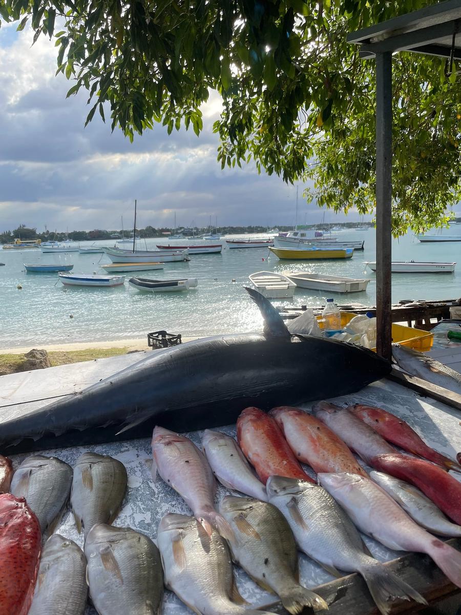 Photo 4 of Mauritius, taken by Cameron Mofid