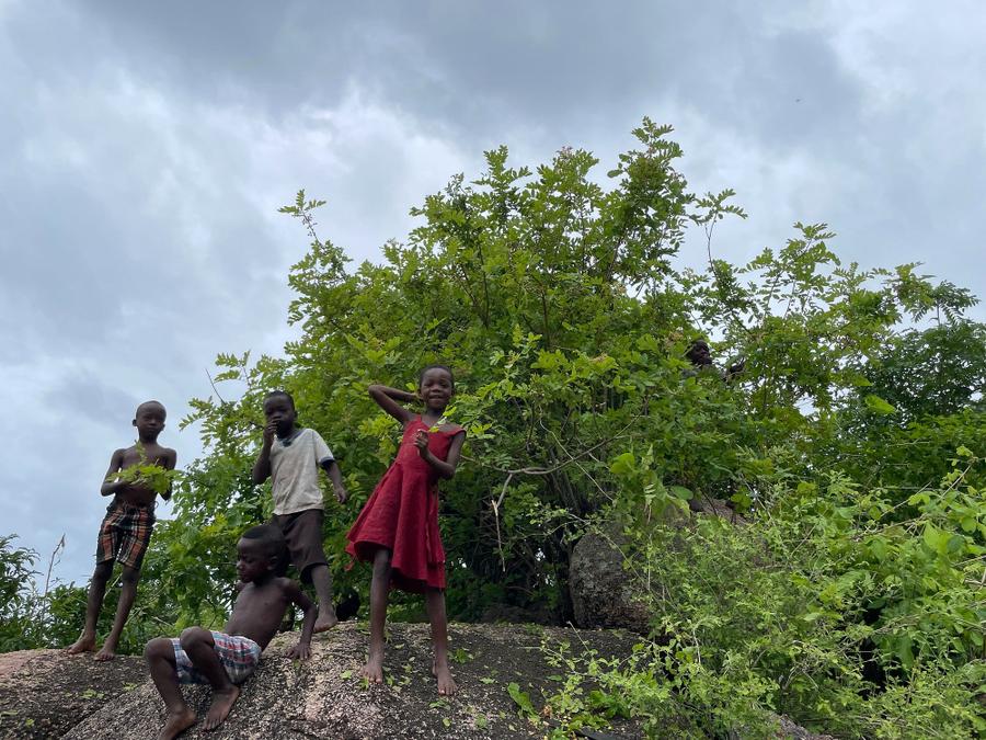 Photo 10 of Malawi, taken by Cameron Mofid
