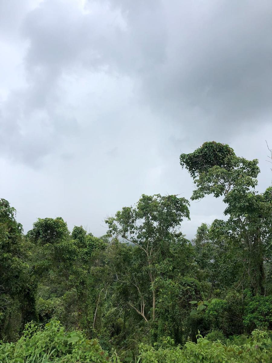 Photo 1 of Malaysia, taken by Cameron Mofid