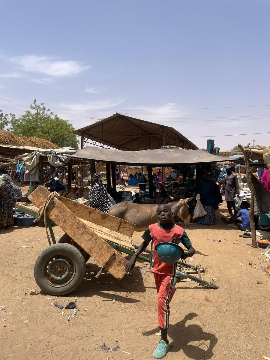 Photo 9 of Niger, taken by Cameron Mofid