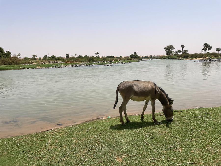 Photo 12 of Niger, taken by Cameron Mofid