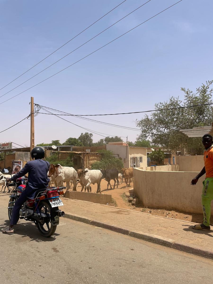 Photo 3 of Niger, taken by Cameron Mofid