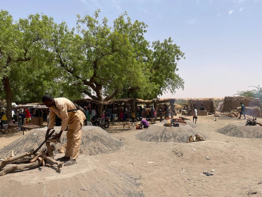 Photo 10 of Niger, taken by Cameron Mofid