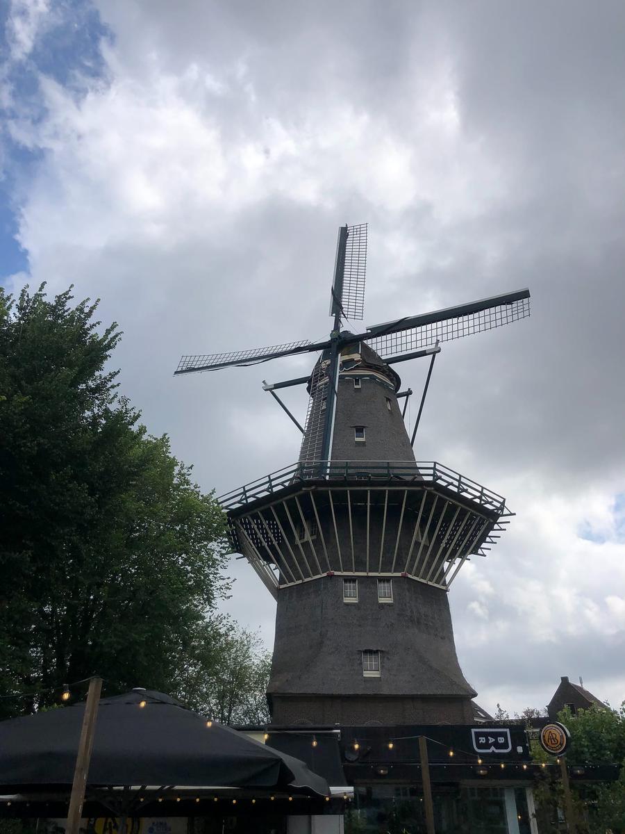 Photo 7 of Netherlands, taken by Cameron Mofid