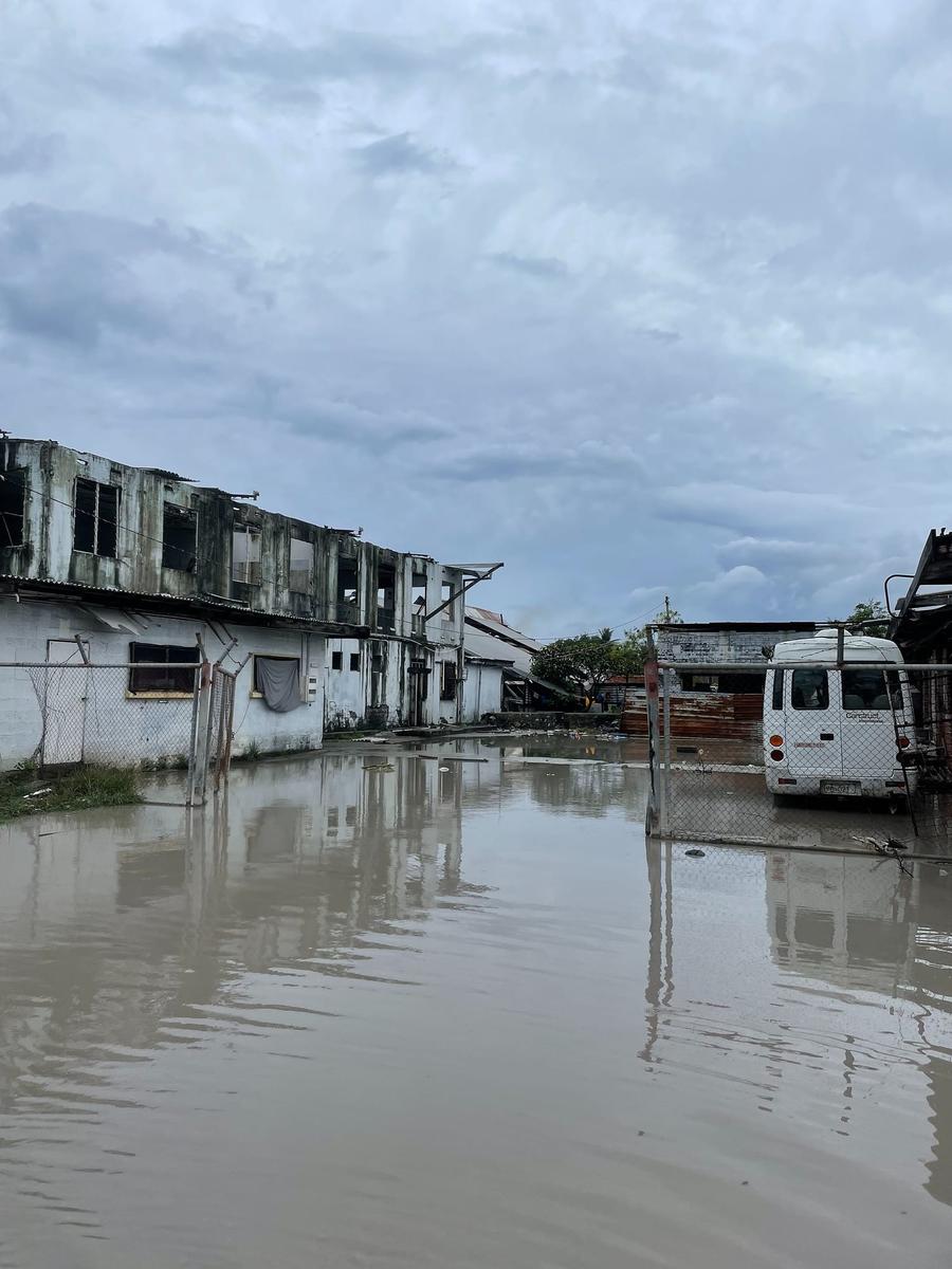 Photo 3 of Naoero, taken by Cameron Mofid