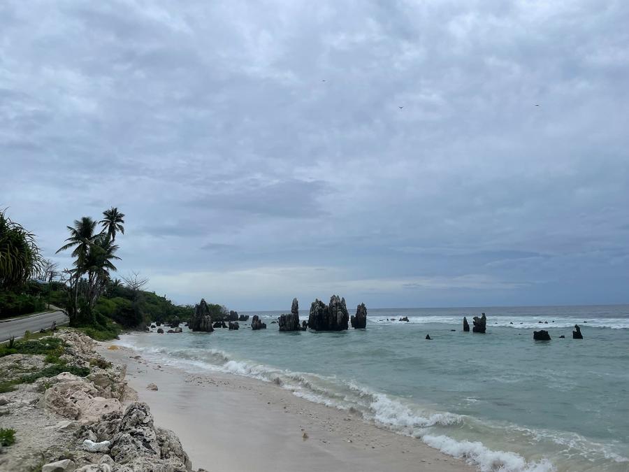 Photo 7 of Naoero, taken by Cameron Mofid