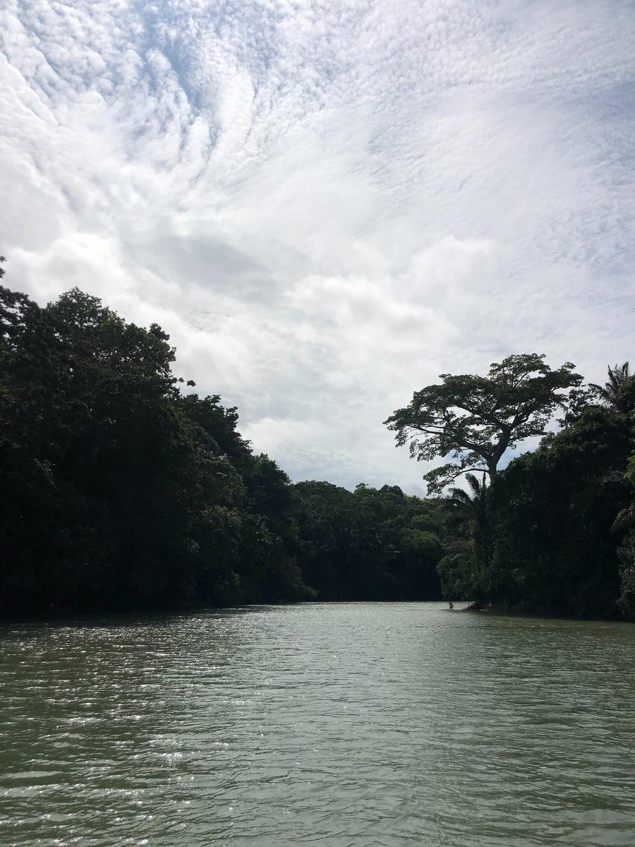 Photo 5 of Panama, taken by Cameron Mofid