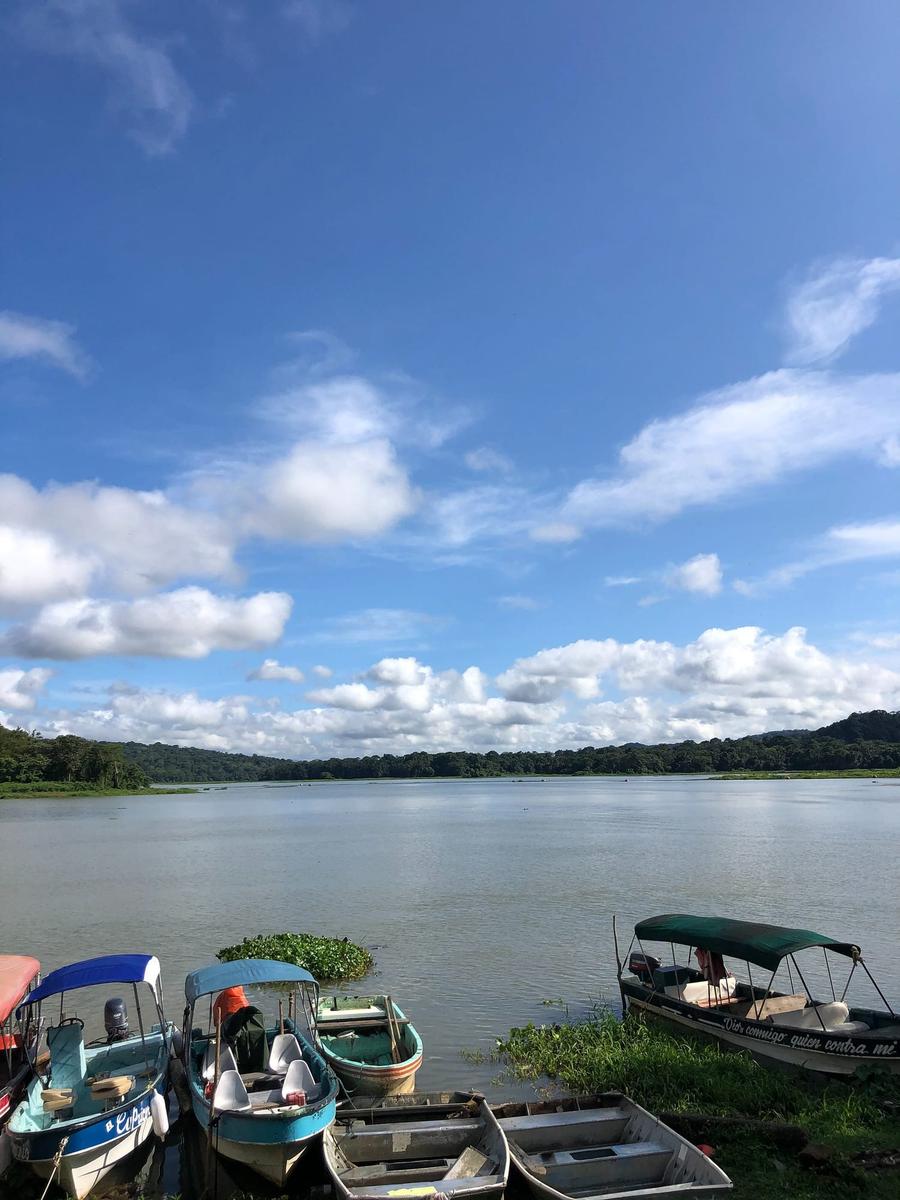 Photo 1 of Panama, taken by Cameron Mofid