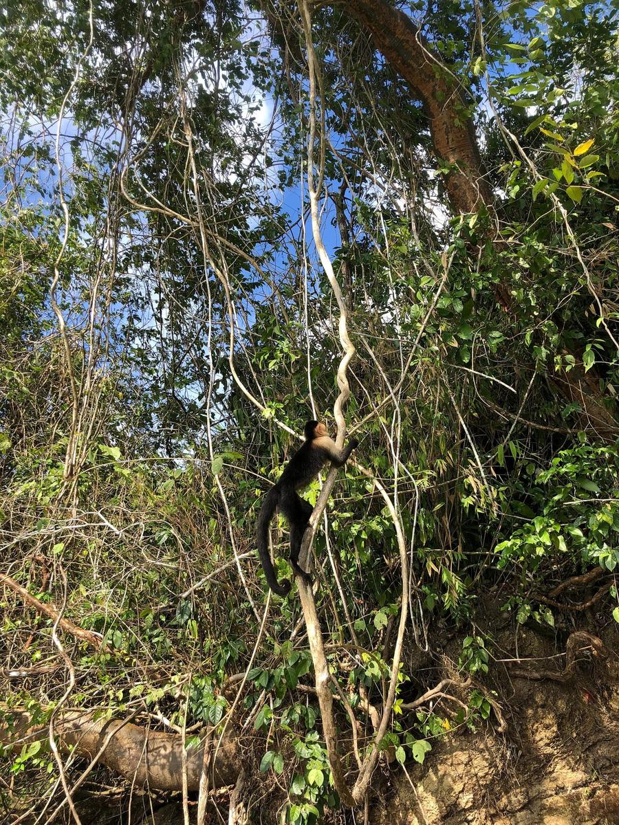 Photo 2 of Panama, taken by Cameron Mofid