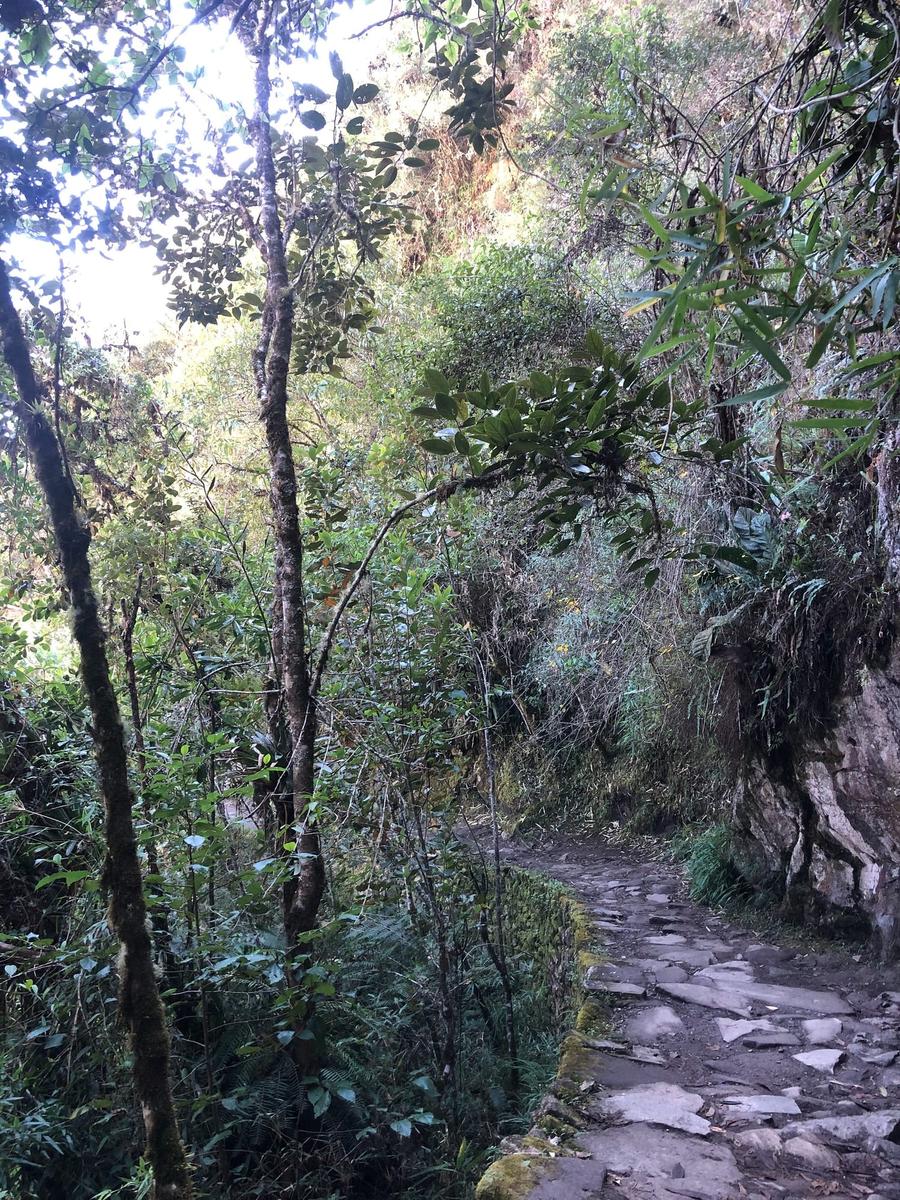 Photo 7 of Peru, taken by Cameron Mofid