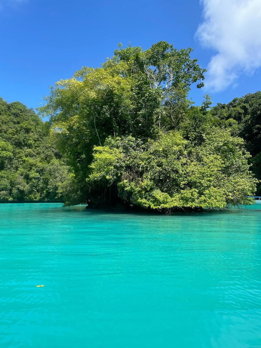 Photo 9 of Palau, taken by Cameron Mofid