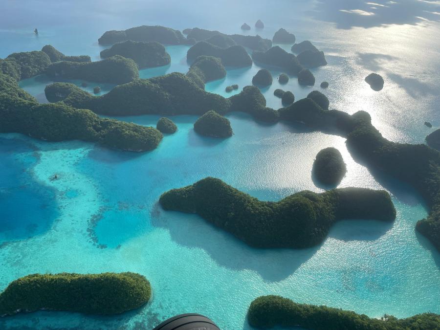 Photo 5 of Palau, taken by Cameron Mofid