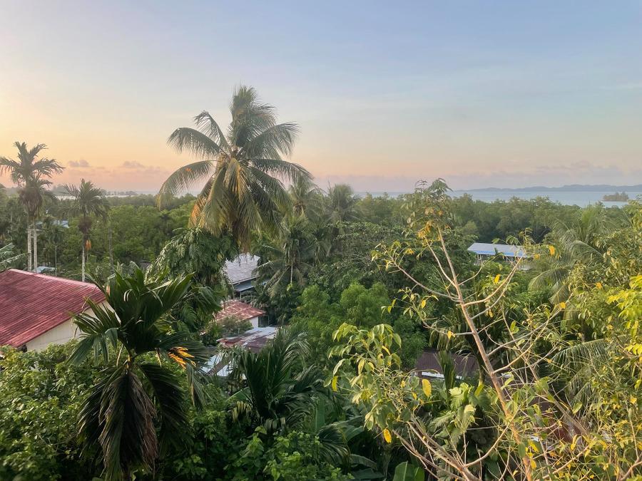 Photo 17 of Palau, taken by Cameron Mofid