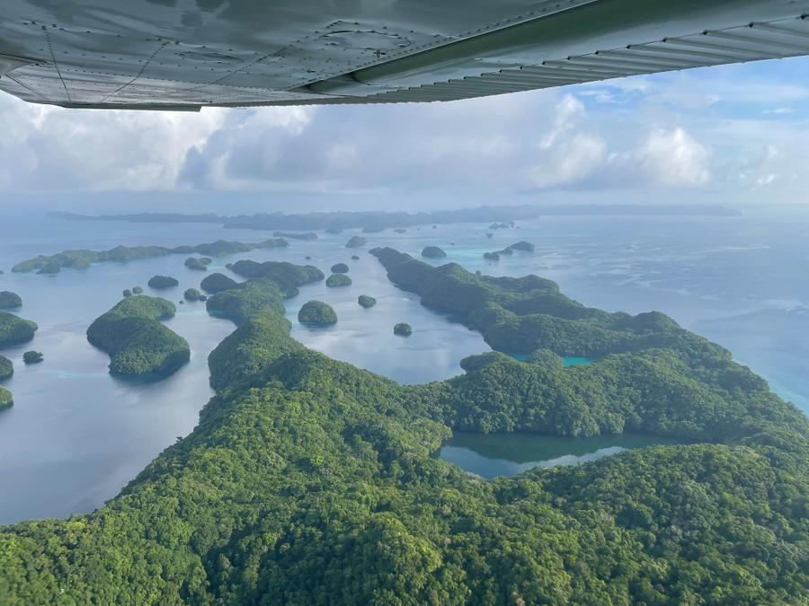 Photo 2 of Palau, taken by Cameron Mofid