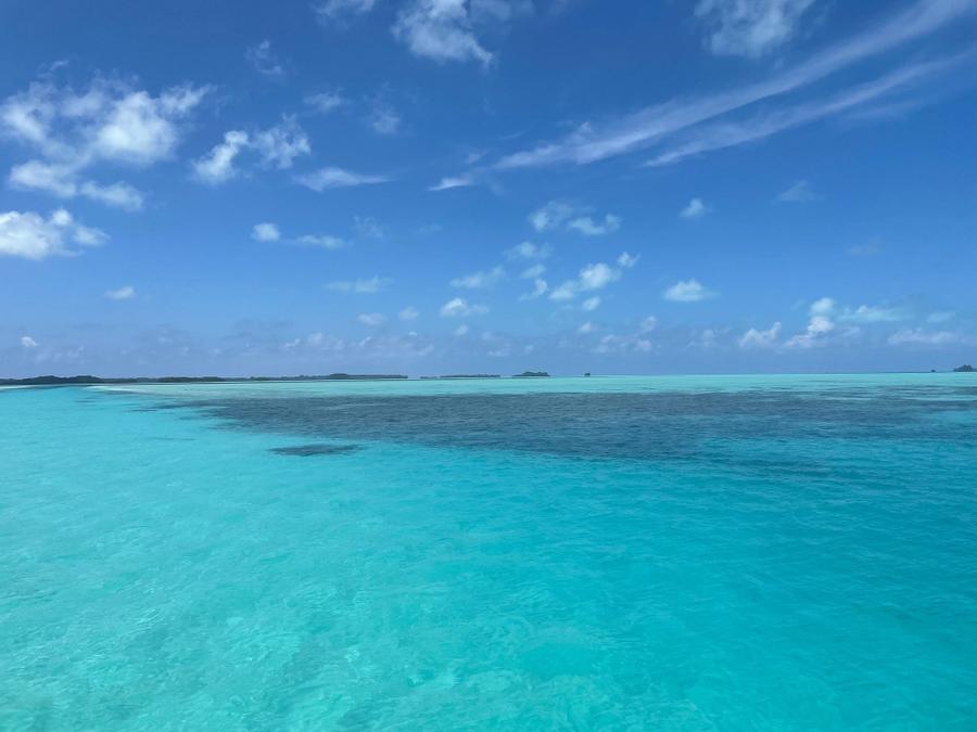 Photo 12 of Palau, taken by Cameron Mofid