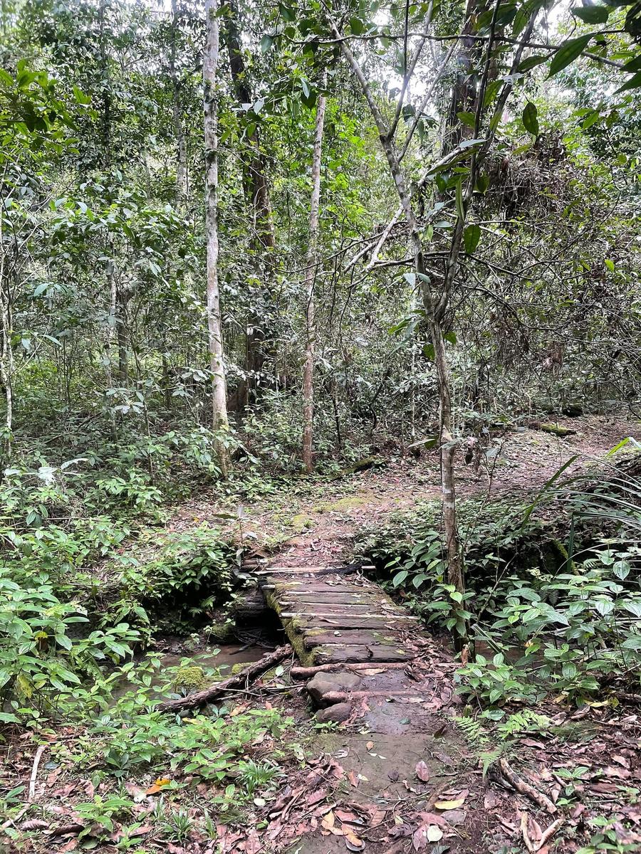 Photo 3 of Papua New Guinea, taken by Cameron Mofid