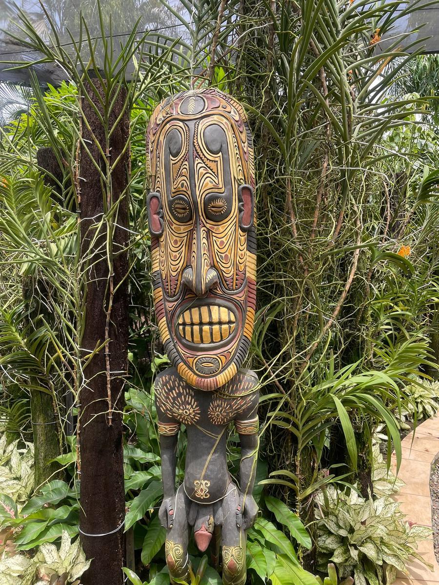 Photo 9 of Papua New Guinea, taken by Cameron Mofid
